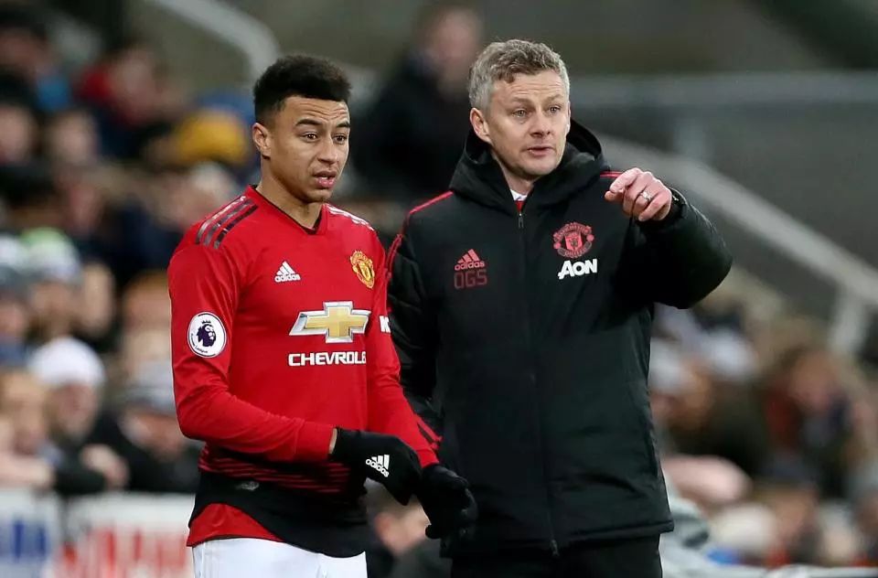 兼备型侧翼 兼备型侧翼